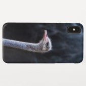 Straußenportrait Case-Mate iPhone Hülle (Rückseite (Horizontal))