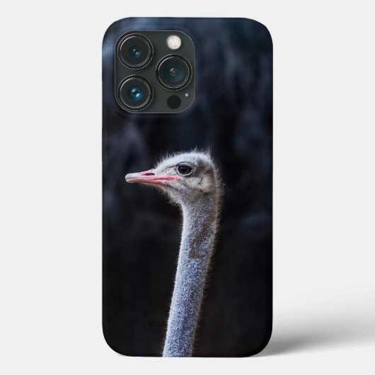 Straußenportrait Case-Mate iPhone Hülle (Rückseite)