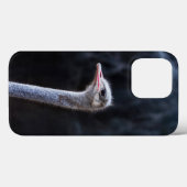 Straußenportrait Case-Mate iPhone Hülle (Rückseite (Horizontal))