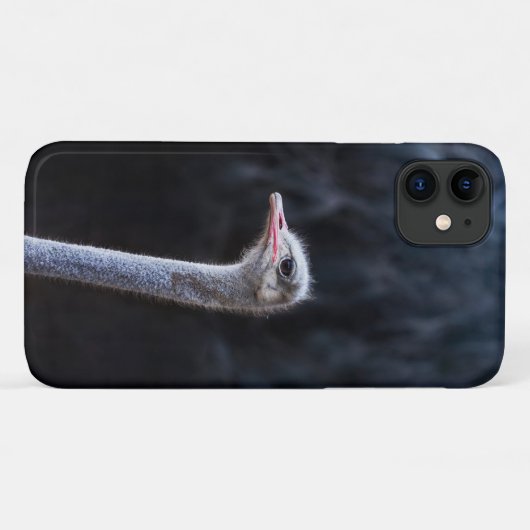 Straußenportrait Case-Mate iPhone Hülle (Rückseite (Horizontal))