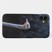 Straußenportrait Case-Mate iPhone Hülle (Rückseite (Horizontal))