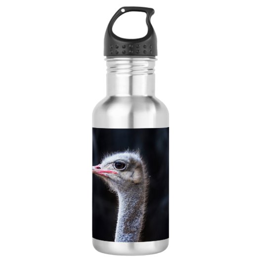 Straußenportrait Edelstahlflasche (Vorderseite)