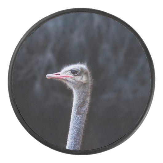 Straußenportrait Eishockey Puck (Vorderseite)