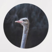 Straußenportrait Etiketten (Design 2)