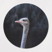 Straußenportrait Etiketten (Design 1)