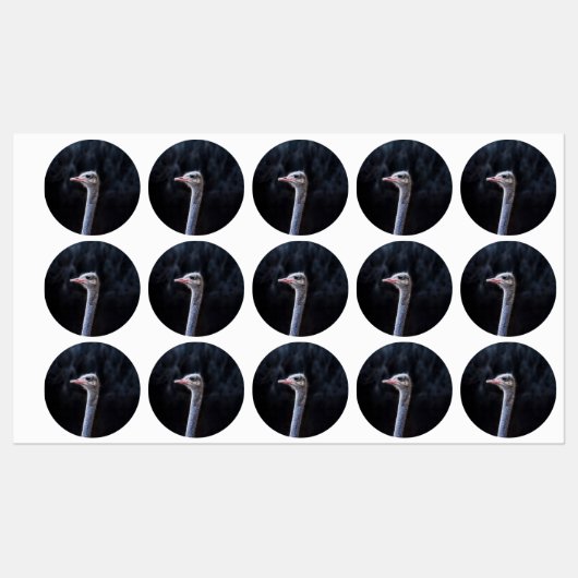 Straußenportrait Etiketten (Blatt)