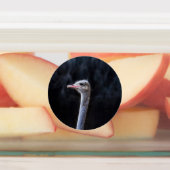 Straußenportrait Etiketten (Befestigt)