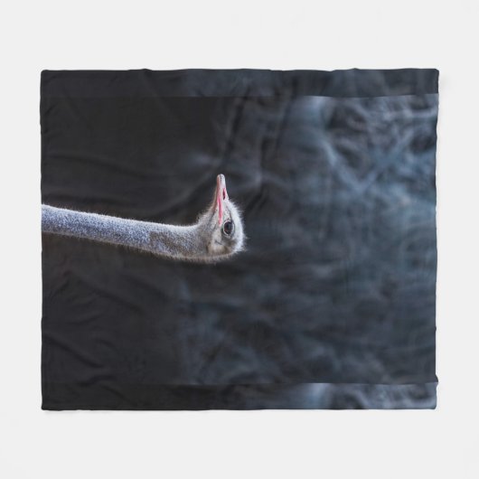 Straußenportrait Fleecedecke (Vorderseite (Horizontal))