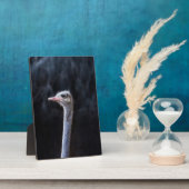 Straußenportrait Fotoplatte (Seite)