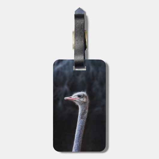 Straußenportrait Gepäckanhänger (Rückseite vertikal)