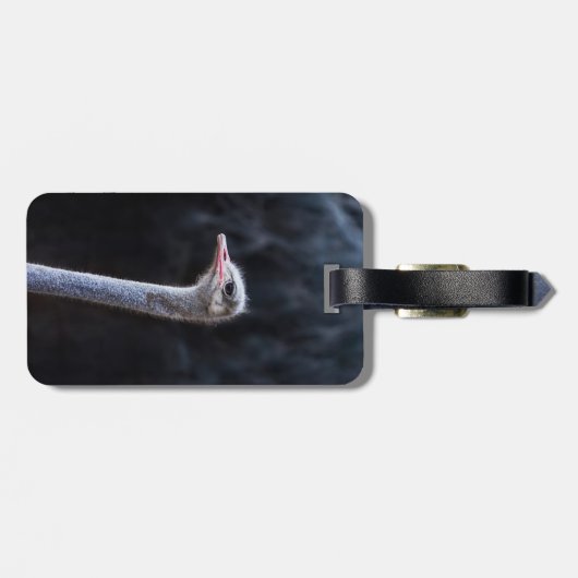 Straußenportrait Gepäckanhänger (Rückseite horizontal)