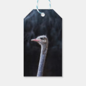 Straußenportrait Geschenkanhänger (Rückseite)