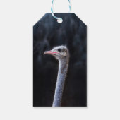 Straußenportrait Geschenkanhänger (Rückseite)