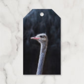 Straußenportrait Geschenkanhänger (Rückseite)