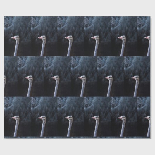 Straußenportrait Geschenkpapier (Flach)