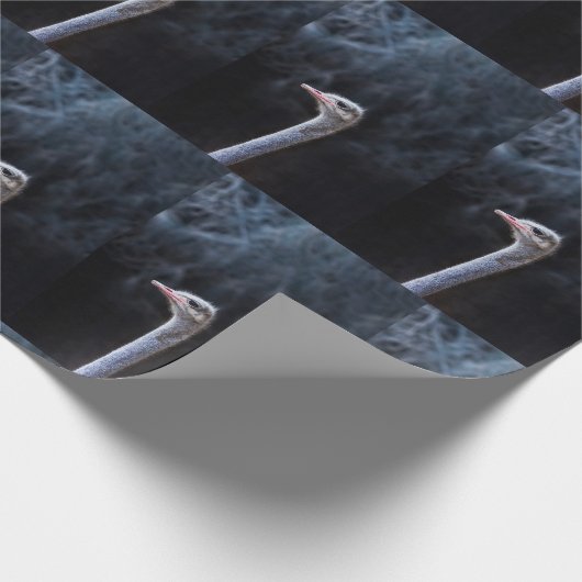 Straußenportrait Geschenkpapier (Ecke)