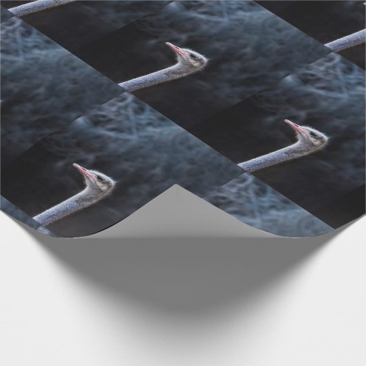 Straußenportrait Geschenkpapier (Ecke)