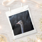 Straußenportrait Geschenktütchen (Ausgeschnitten)