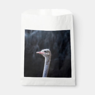 Straußenportrait Geschenktütchen