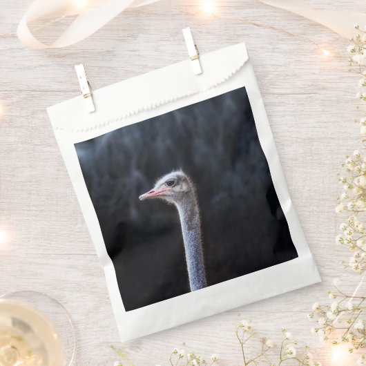 Straußenportrait Geschenktütchen (Ausgeschnitten)