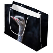 Straußenportrait Große Geschenktüte (Vorderseite Schrägansicht)
