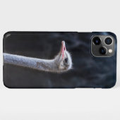 Straußenportrait iPhone Hülle (Rückseite (Horizontal))