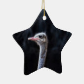 Straußenportrait Keramik Ornament (Rechts)