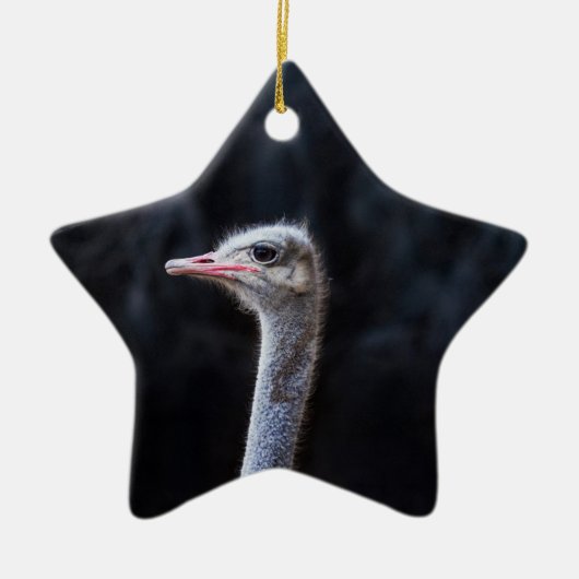 Straußenportrait Keramik Ornament (Vorne)