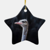 Straußenportrait Keramik Ornament (Hinten)