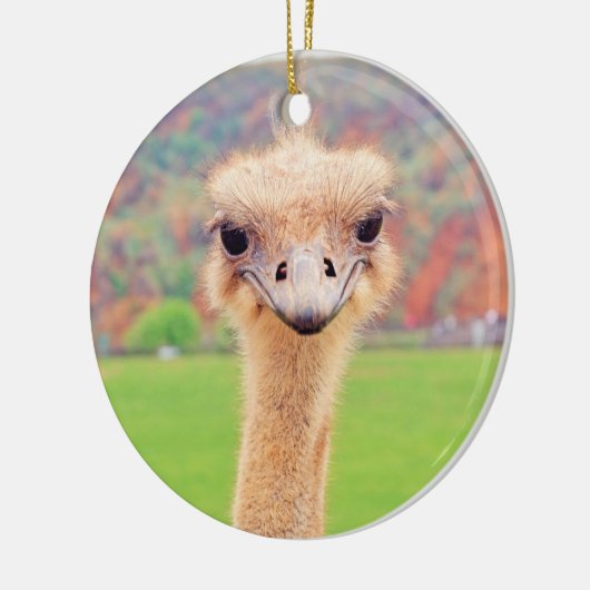 Straußenportrait Keramikornament (Links)