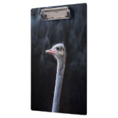 Straußenportrait Klemmbrett (Links)