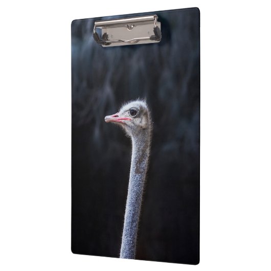 Straußenportrait Klemmbrett (Links)