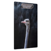 Straußenportrait Klemmbrett (Rechts)