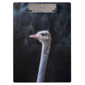 Straußenportrait Klemmbrett (Vorderseite)