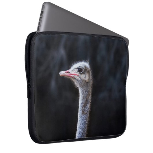 Straußenportrait Laptopschutzhülle (Vorne Rechts)