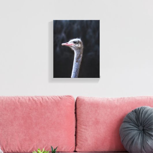 Straußenportrait Leinwanddruck (Insitu (Wohnzimmer))