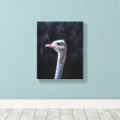 Straußenportrait Leinwanddruck (Insitu (Holzboden))
