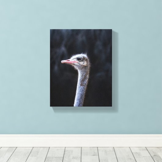 Straußenportrait Leinwanddruck (Insitu (Holzboden))