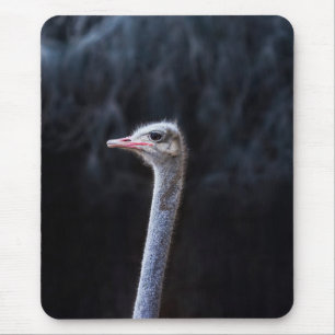 Straußenportrait Mousepad