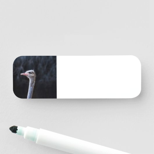 Straußenportrait Namensschild (Beispiel)