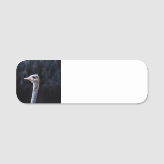 Straußenportrait Namensschild (Vorderseite)