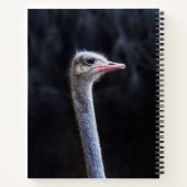 Straußenportrait Notizblock (Rückseite)