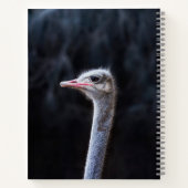 Straußenportrait Notizblock (Rückseite)