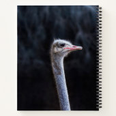 Straußenportrait Notizblock (Rückseite)