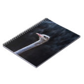 Straußenportrait Notizblock (Linke Seite)