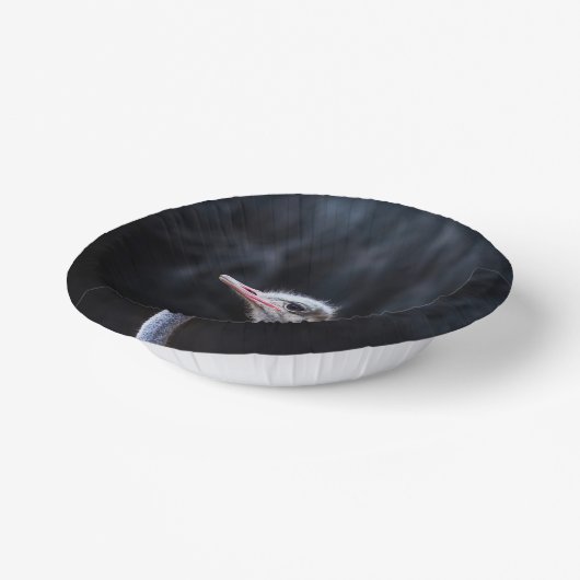 Straußenportrait Pappteller (Gewinkelt)