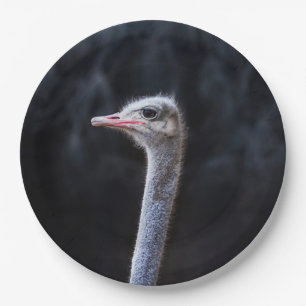 Straußenportrait Pappteller