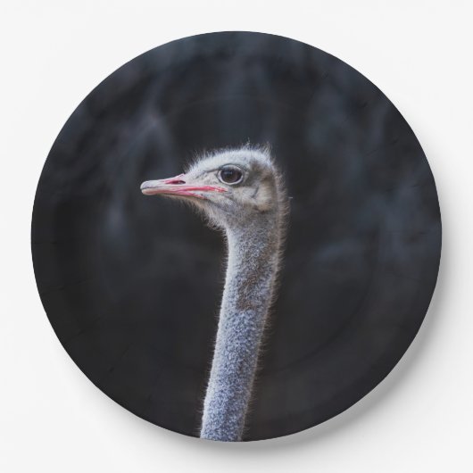 Straußenportrait Pappteller (Vorderseite)