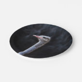 Straußenportrait Pappteller (Schrägansicht)