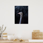 Straußenportrait Poster (Küche)